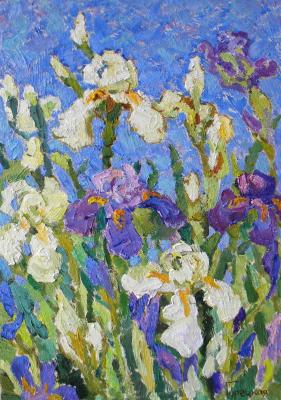 Irises in Livadia
