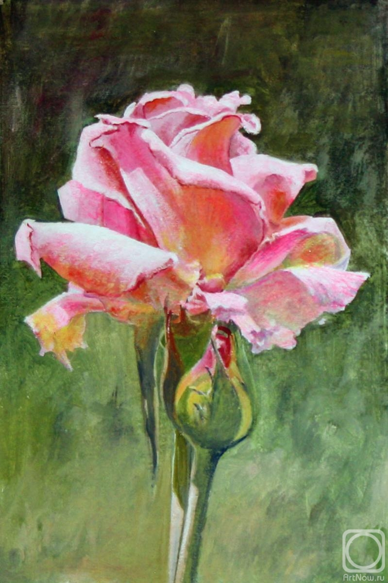 Kudryashov Galina. Pink rose