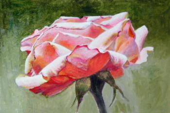 Pink rose 2 (Kudryashova-Tabakowska). Kudryashov Galina