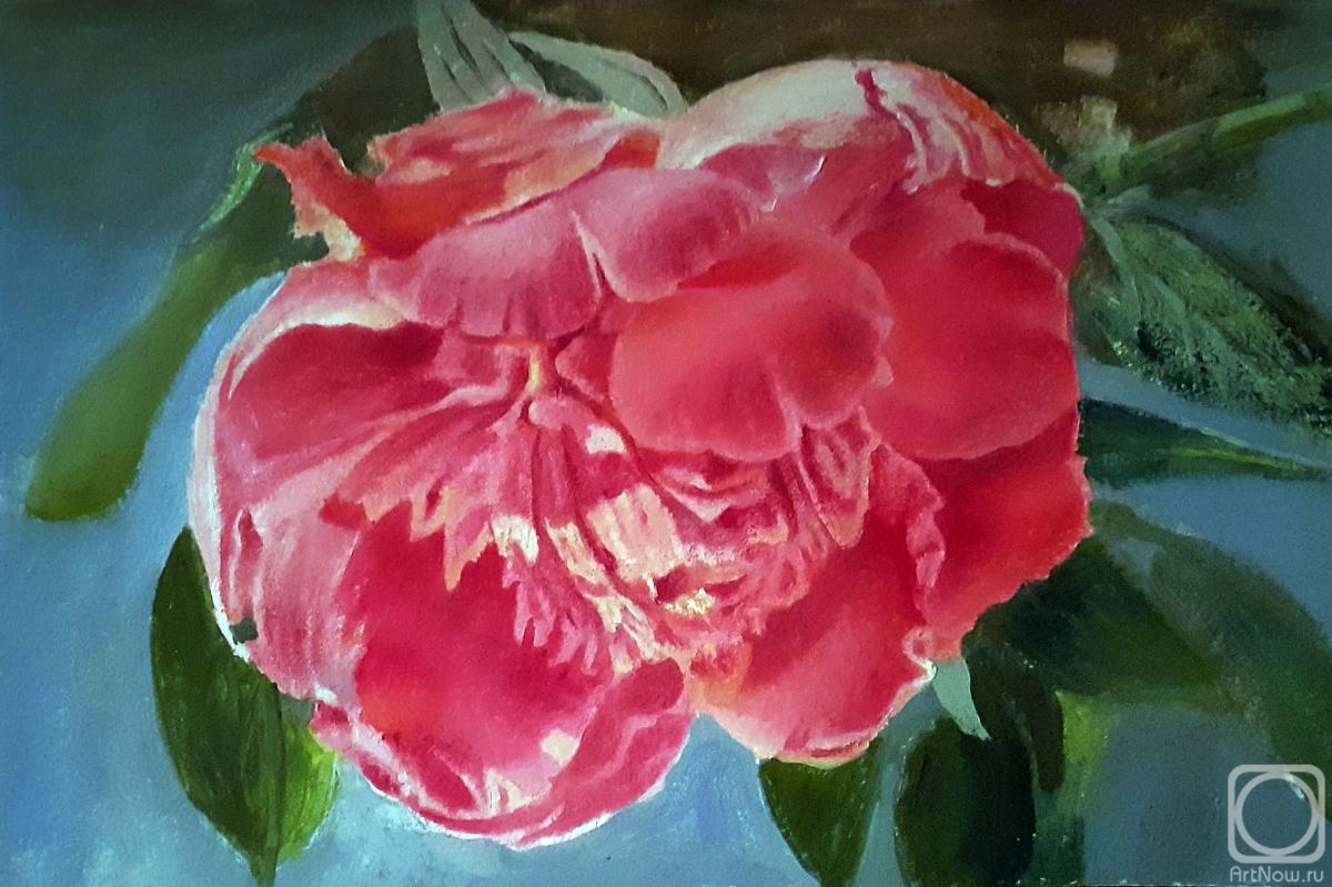 �������. ���������-������������ ������. ������� ���� 3