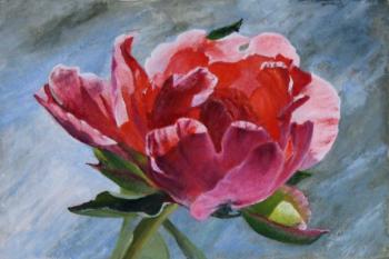 ������� ���� (������� ������� �����). ���������-������������ ������