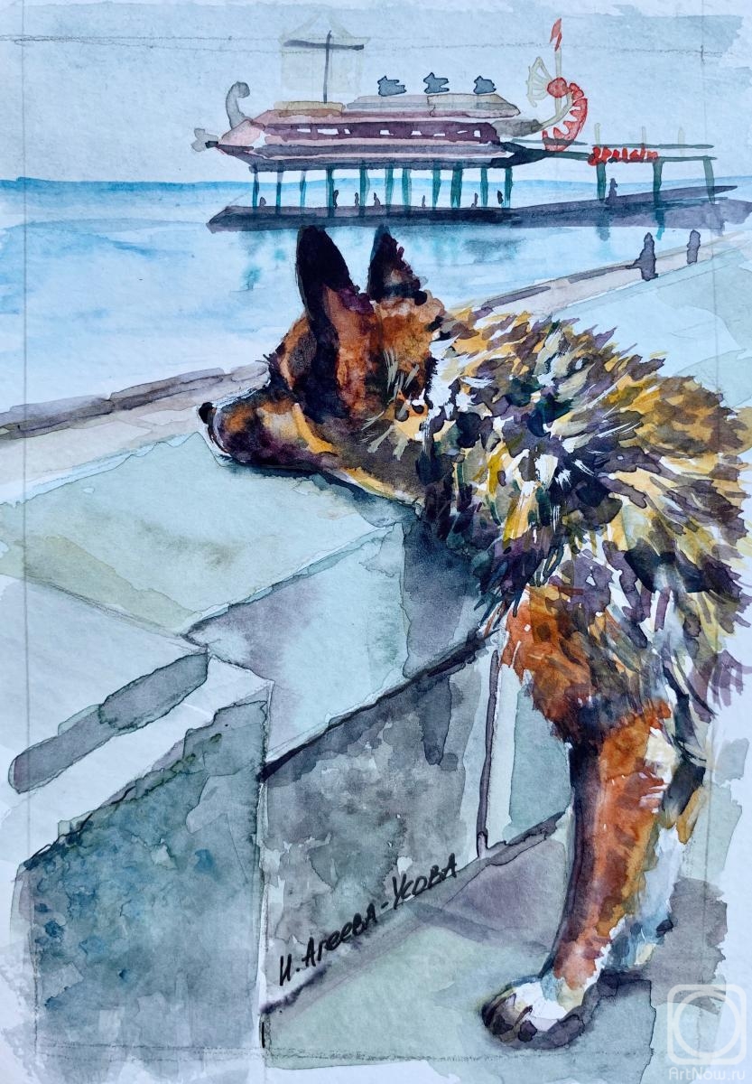 �������. ������-����� �����. ������� ����. ����