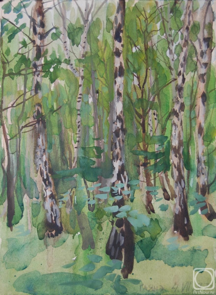 Dobrovolskaya Gayane. Birch forest