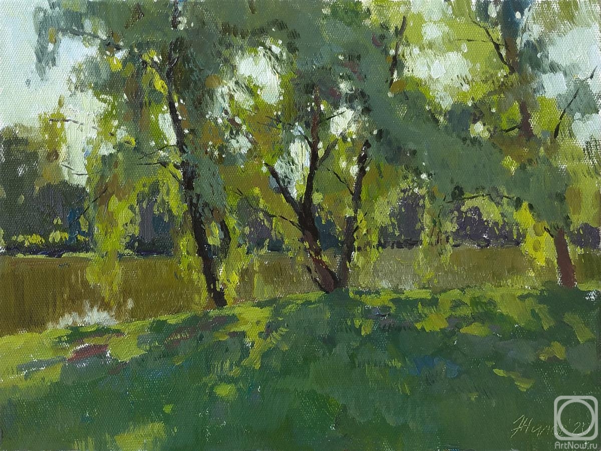 Zhilov Andrey. Willows by the pond