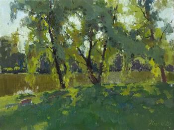 Zhilov Andrey Vladimirovich. Willows by the pond