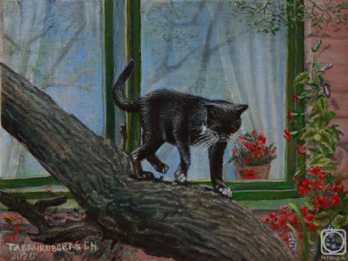 Kudryashov Galina. Left a cat out the window