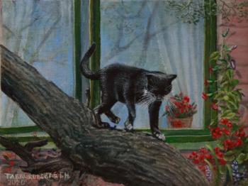 Left a cat out the window (Geranium On Window). Kudryashov Galina