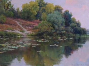 Stradone, Basovka (Rossosh Landscape). Dobrodeev Vadim