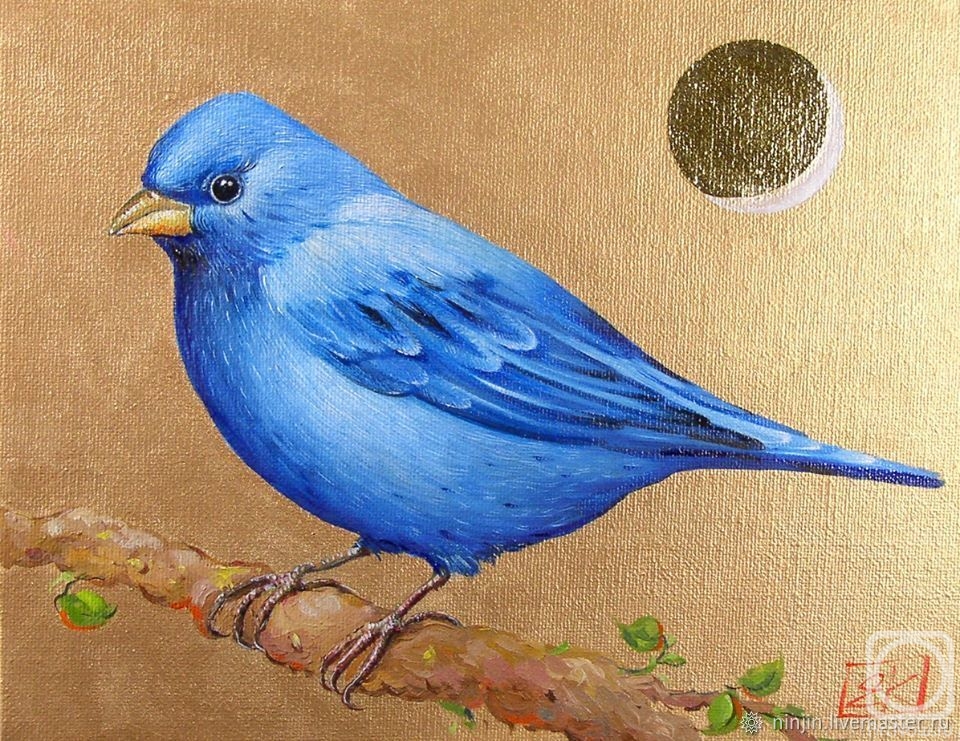 Korneeva Evgeniya. Night sialia