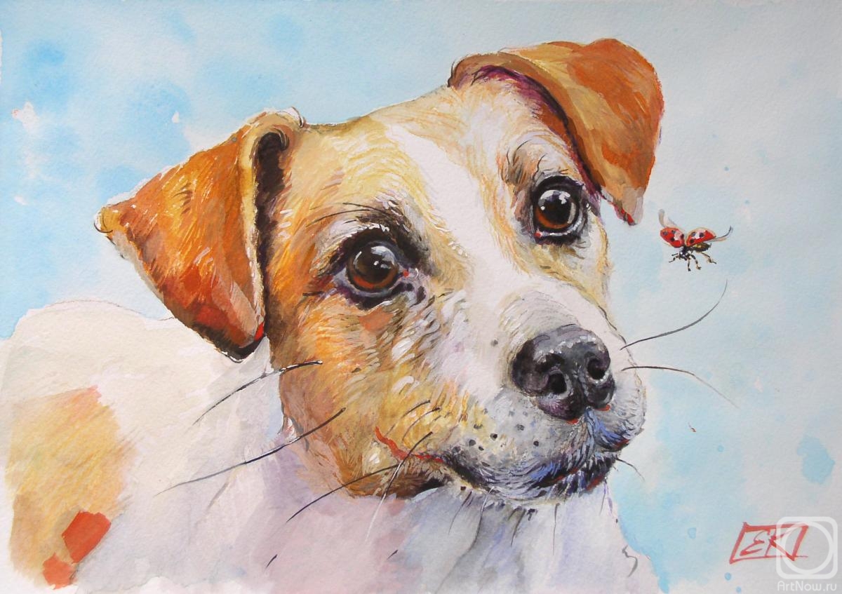 �������. �������� �������. ���� ������. ��������� �����