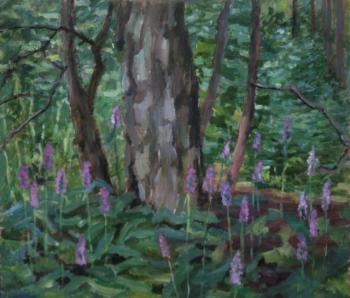 ������� ���������� ������