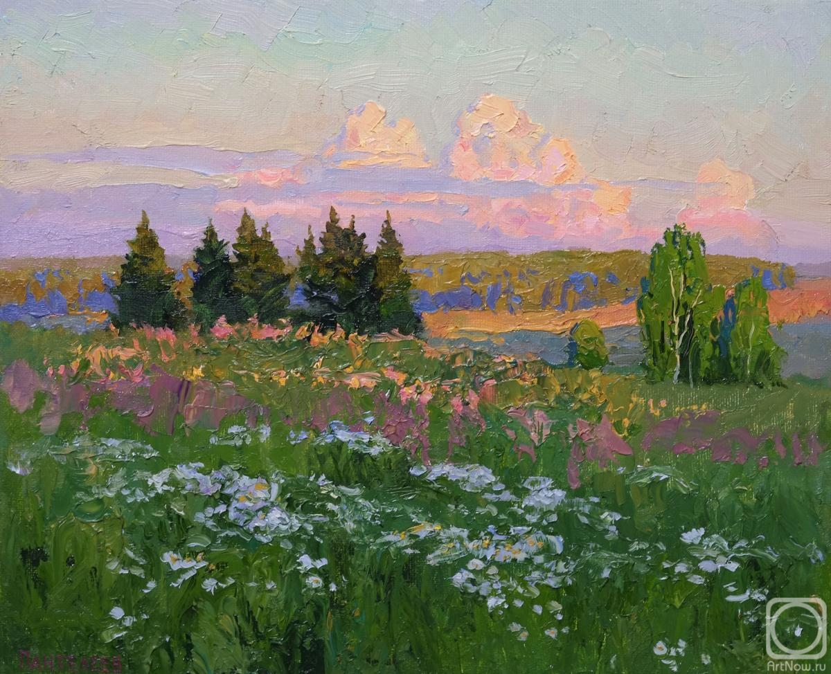 Panteleev Sergey. Camomile field