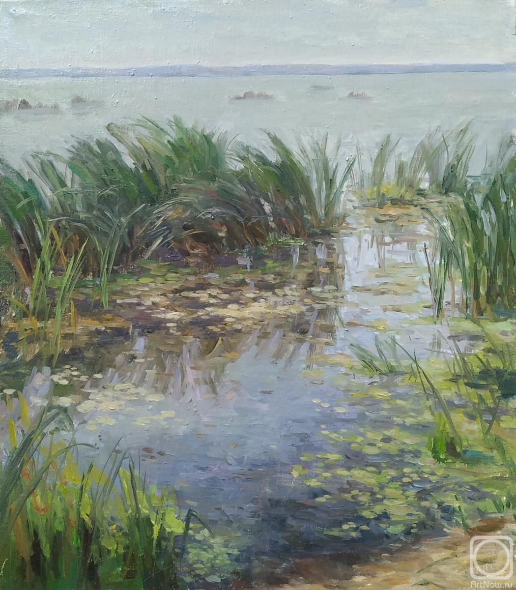 Antonova Galina. The reeds