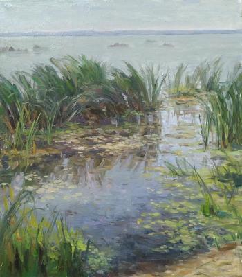 The reeds. Antonova Galina
