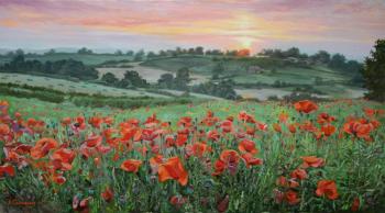Red poppies in the field green. Samokhvalov Alexander