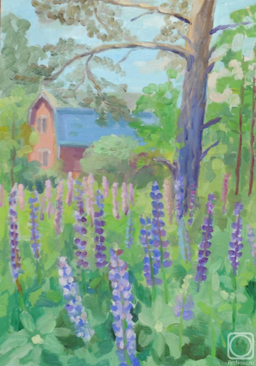 ������� ������ �� ������. ������� �������. �������� ����