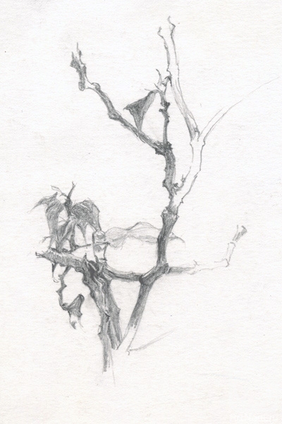 �������. ������� ����. ����� �����