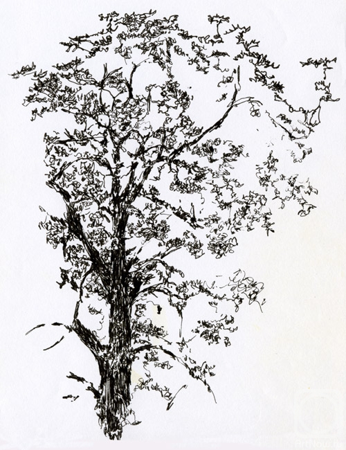 �������. ������� ����. ������