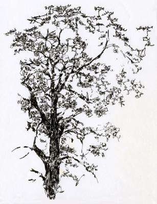 ������� �������