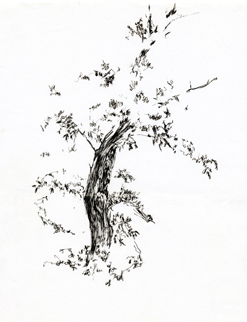 �������. ������� ����. ������