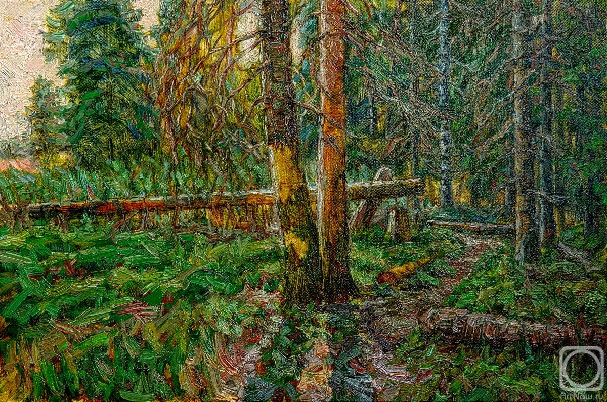 Meshkov Valery. On the edge of the forest