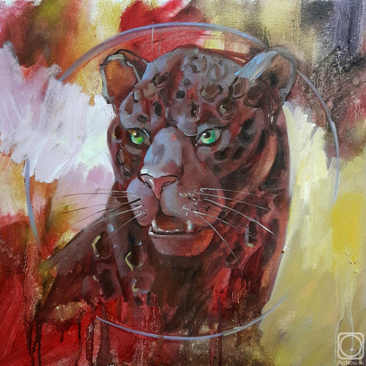 ������� ������ �� ������. �������� �����. ����� ��� �������. ������� ���� �����