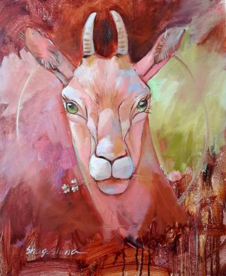 Totem Young Antelope. Wake up your totem. Shagushina Olga