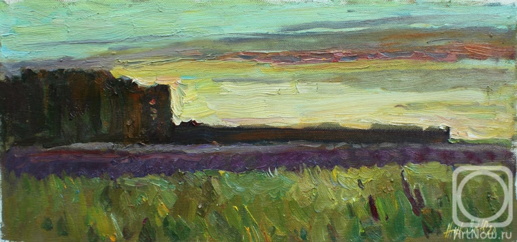 Zhukova Juliya. Sunset on the lupine field