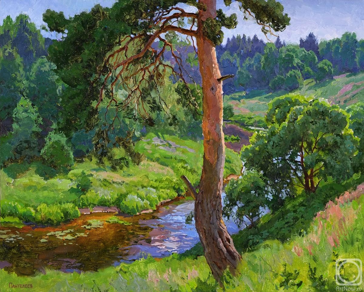 Panteleev Sergey. Pine