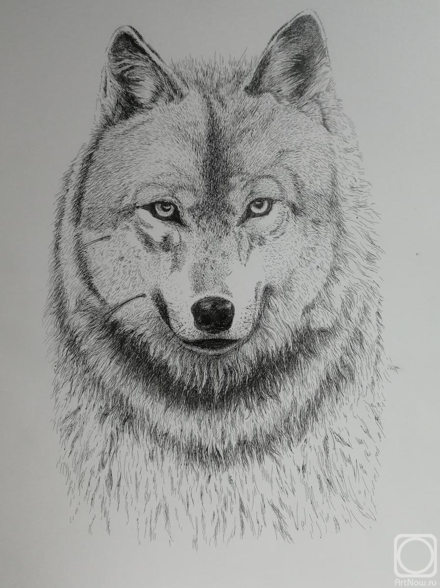 Filippova YUliya. Wolf head