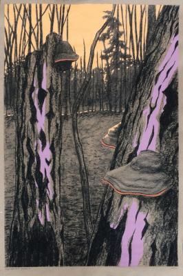 The Wood Mushrooms. Monakhov Ruben