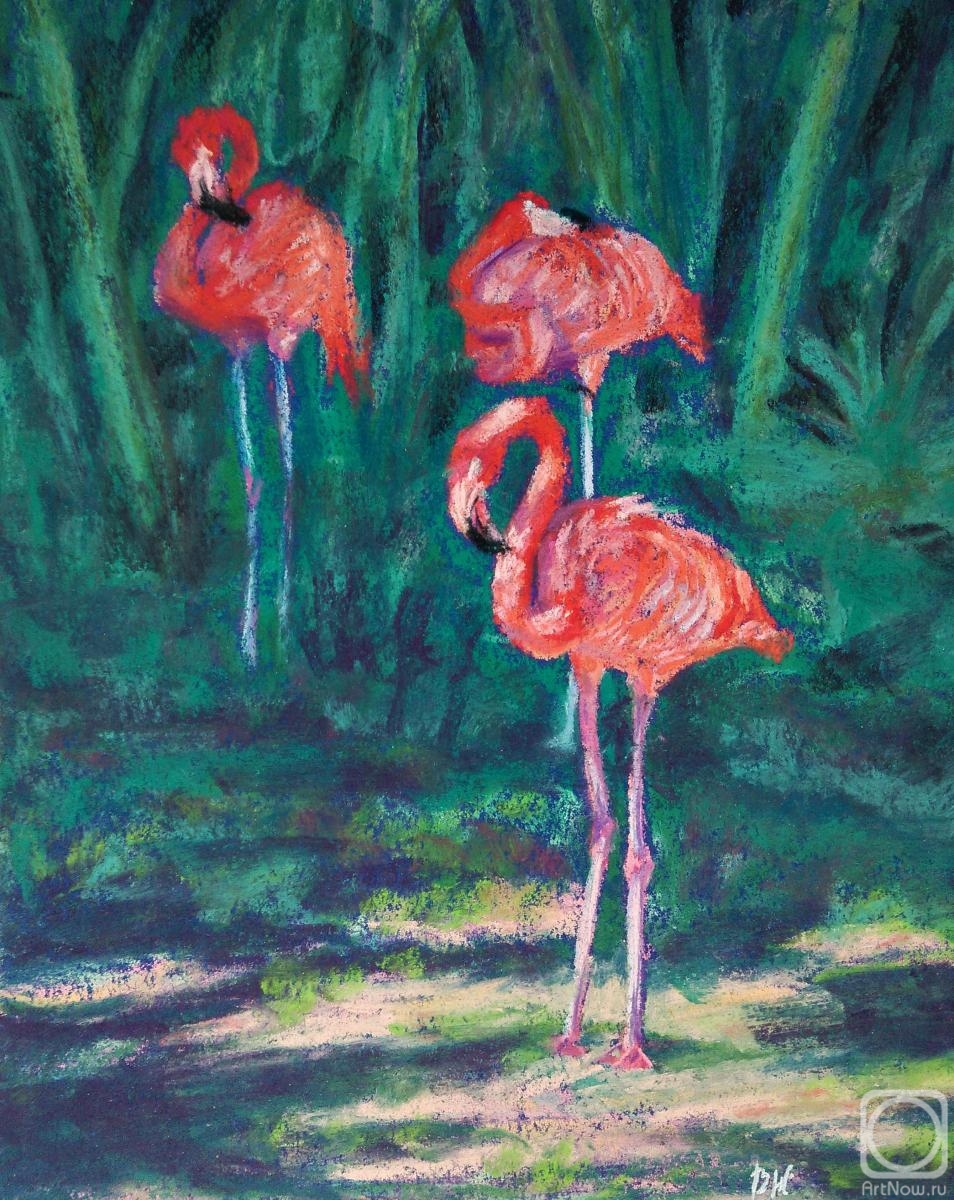 Juravok Weronika. Pink flamingos