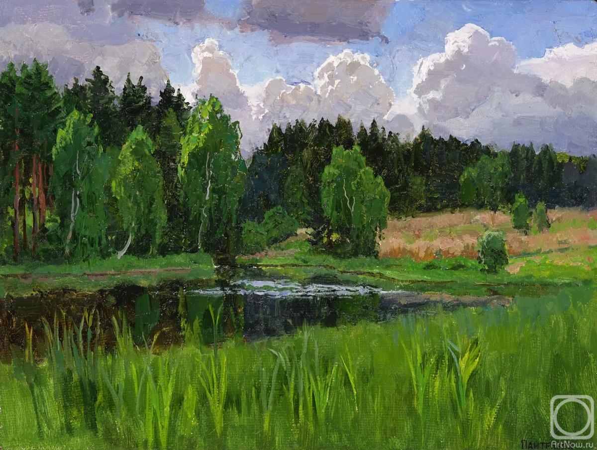 Panteleev Sergey. Forest lake