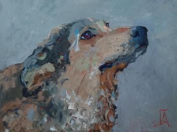 ������� �������������