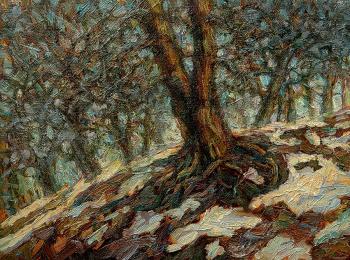 ������� ���������� ����������� ����