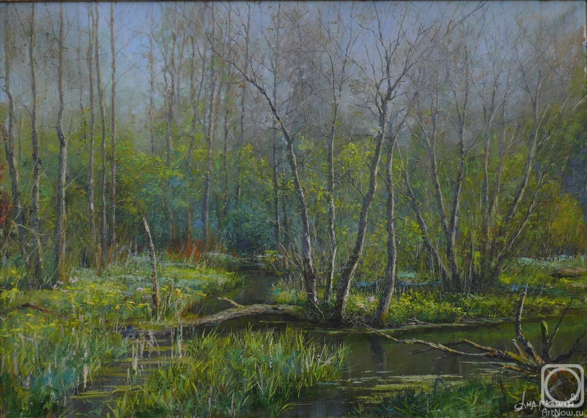 ������� ������ �� ������. �������� �������. ������� ���