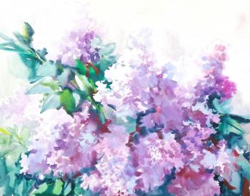 Lilac bush. The beginning of summer. Mikhalskaya Katya