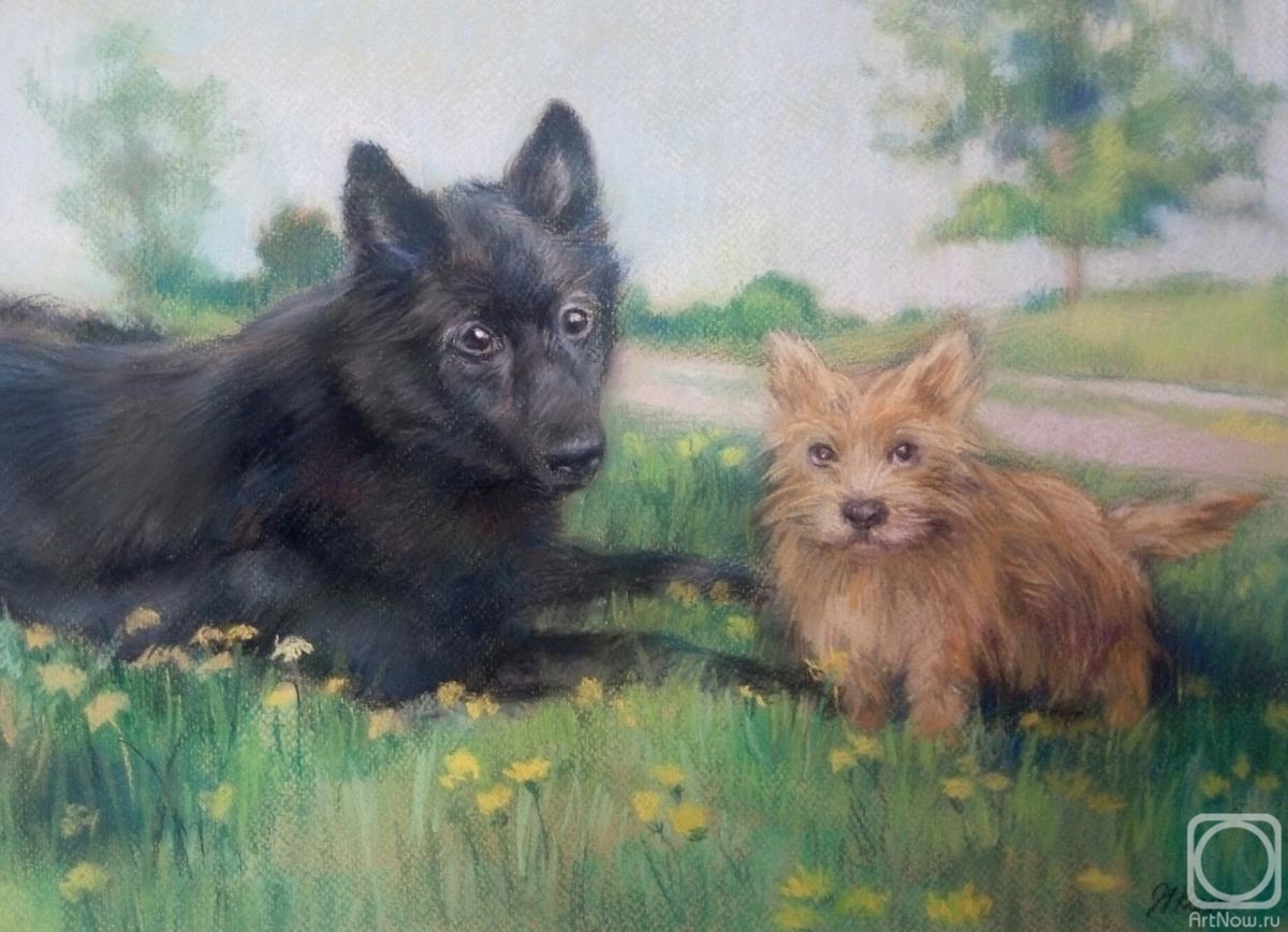 �������. ��������� �������. ��� �����