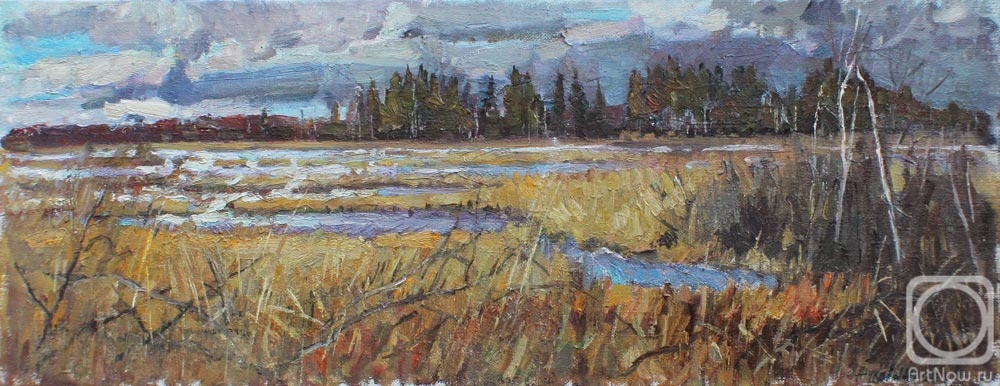 Zhukova Juliya. Spring on the marshes