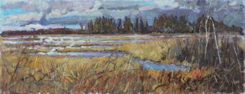 Spring on the marshes. Zhukova Juliya