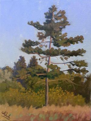 ������� ��������� ������ � ������