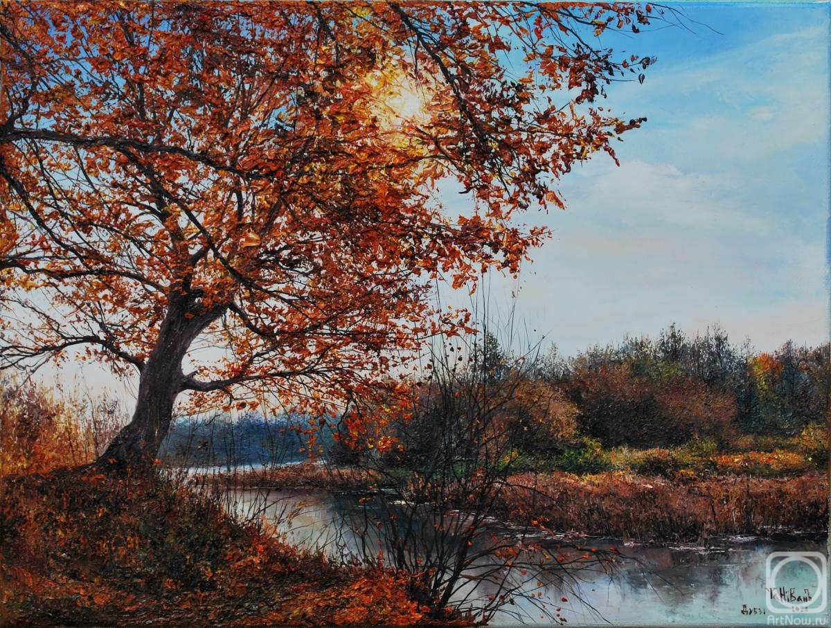 ������� ������ �� ������. ������ ����. ����