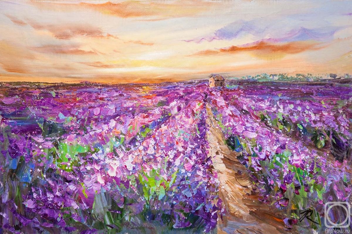 Rodries Jose. Lavender fields at sunset N3