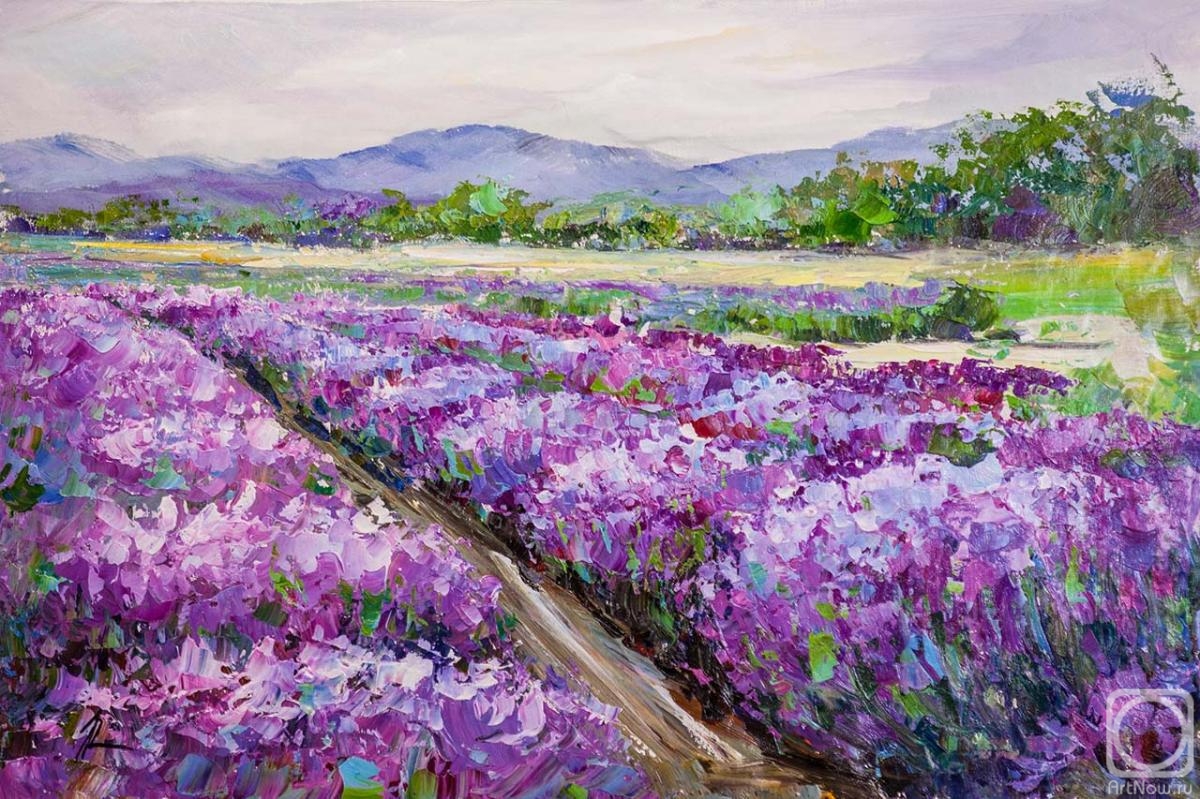 Rodries Jose. Lavender field against the background of mountains