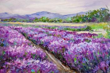 Lavender field against the background of mountains. Rodries Jose