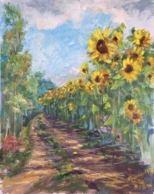 ������� �����������