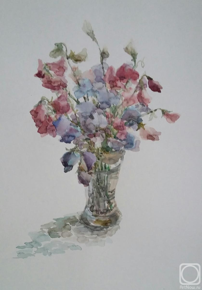 �������. ���� �����. �������� �������