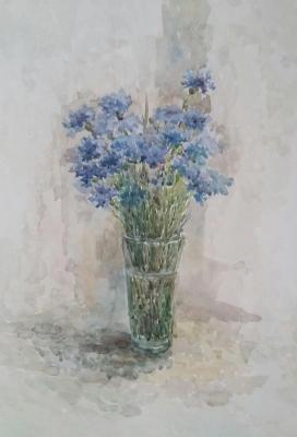 Cornflowers. Original watercolor drawing. Klyan Elena