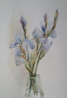Irises. Klyan Elena