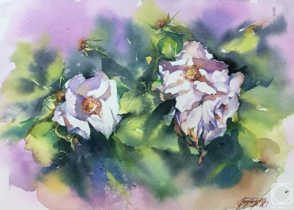 Gnutova Olga. Roses